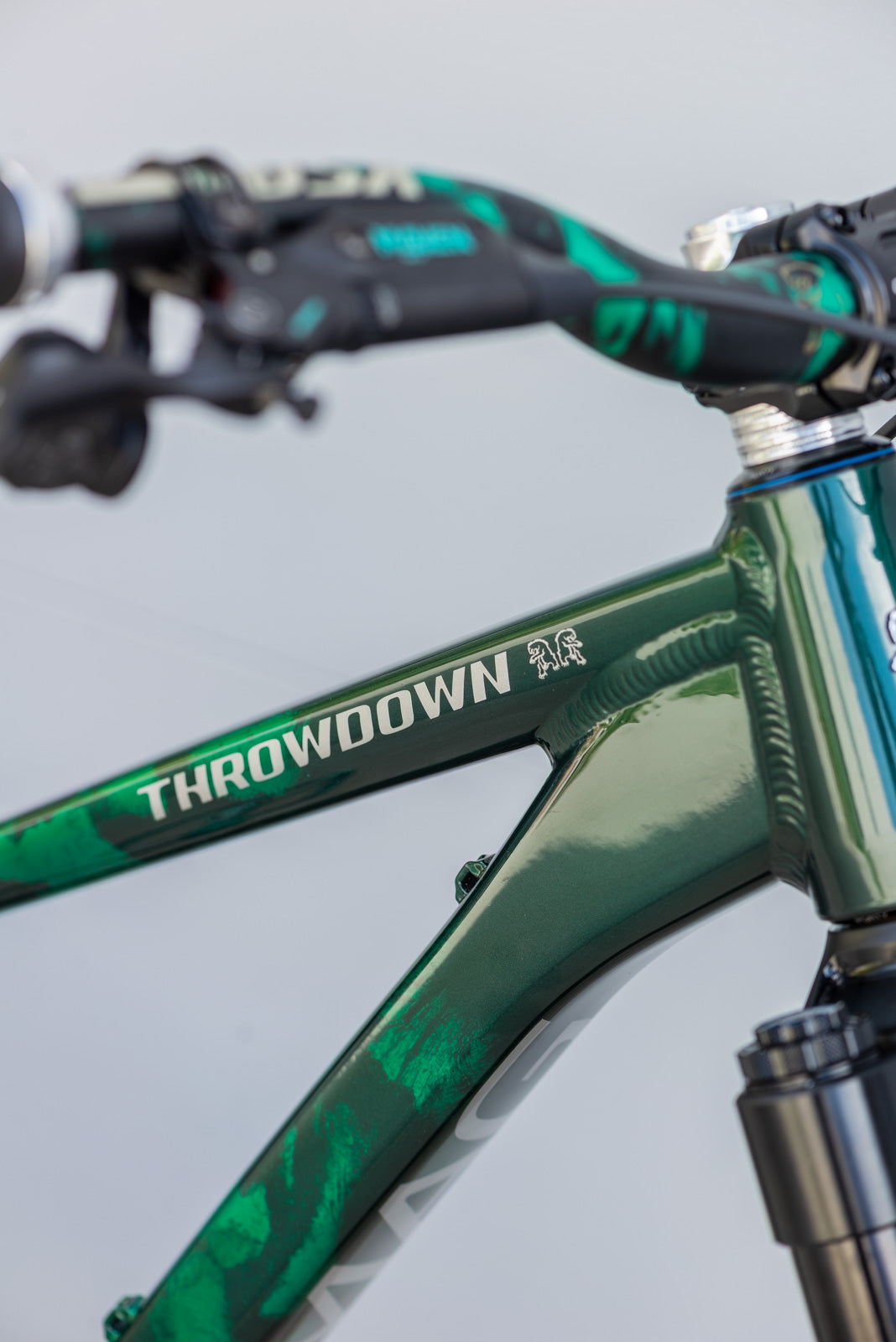 Showroom Throwdown